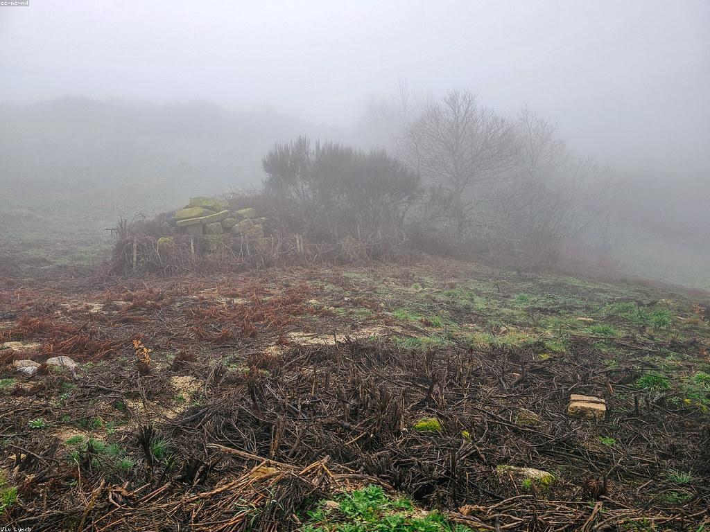 សារៈសំខាន់នៃអនុស្សាវរីក្នុងវប្បធម៌