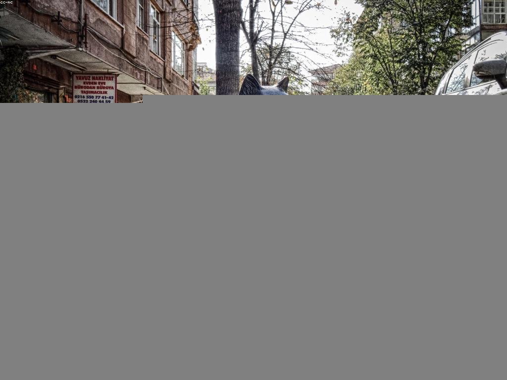 គំនិតអំណោយសម្រាប់ការផ្លាស់ប្តូរសង្គម