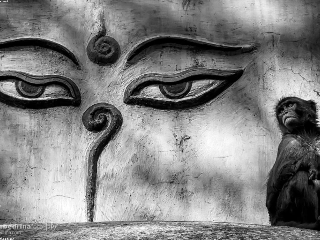 យុទ្ធសាស្ត្រសម្រាប់ការអំណោយតាមរយៈអ៊ីនធឺណិត