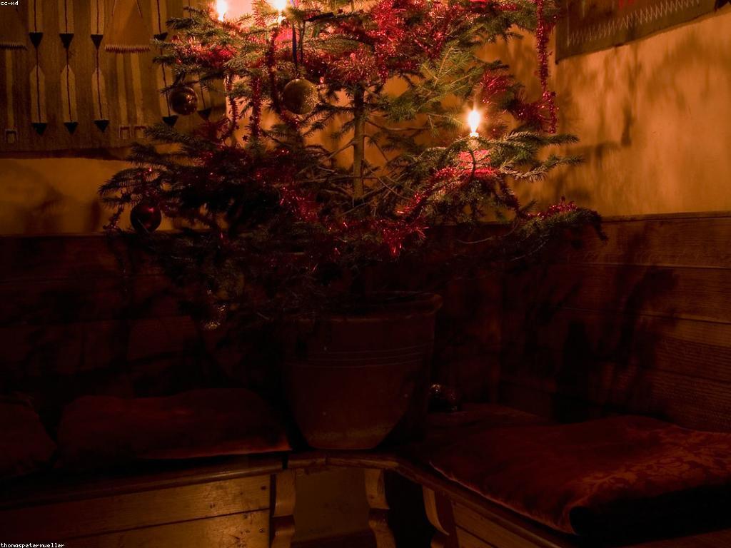 គំនិតអំណោយ: ការបង្កើតវប្បធម៌នៃការចែករំលែក