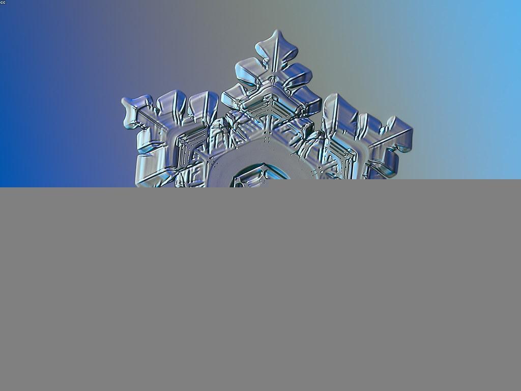 យុទ្ធសាស្ត្រច្នៃប្រឌិតសម្រាប់ការទិញអំណោយ