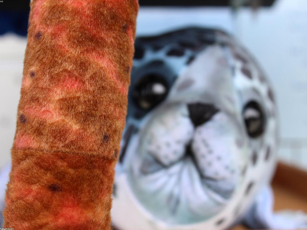 កិច្ចការទិញអំណោយដ៏មានប្រសិទ្ធភាព