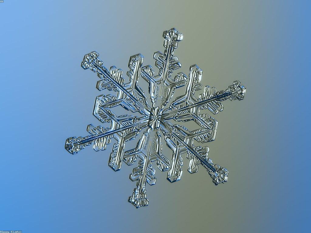 គំនិតសម្រាប់ការទិញអំណោយ