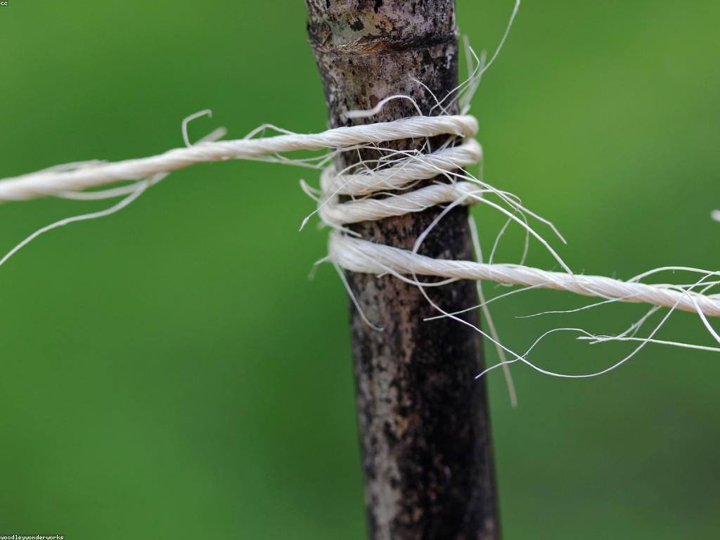 អនុស្សាវរីនិងផលប៉ះពាល់លើទំនាក់ទំនង